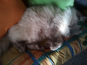 2011-12-31-14.04.11.jpg