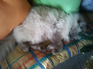 2011-12-31-14.04.24.jpg